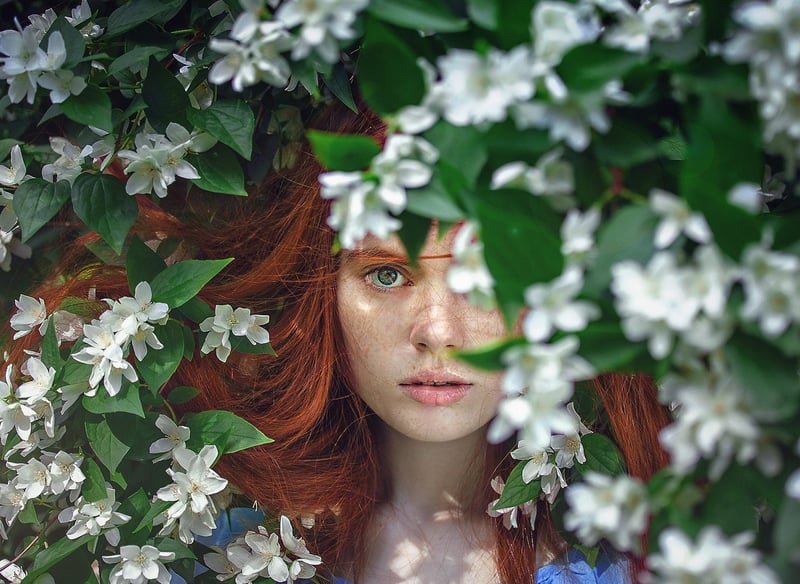 Whimsical Forest